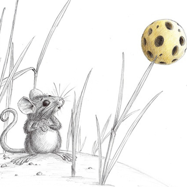 Attrapons la lune/Let's catch the moon